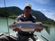 lake Rainbow trout Slovenia